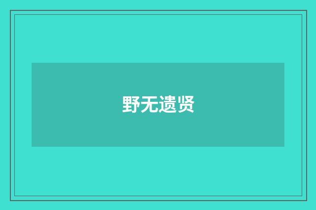 野无遗贤