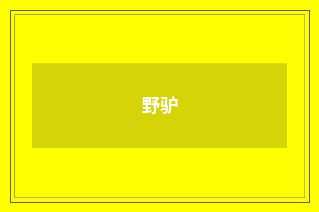 野驴