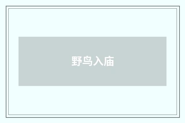 野鸟入庙