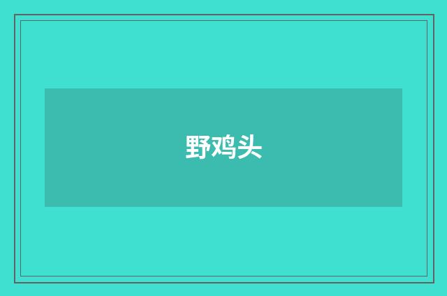 野鸡头