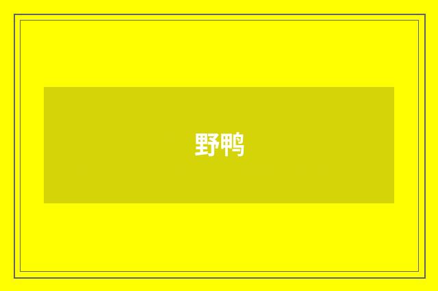 野鸭