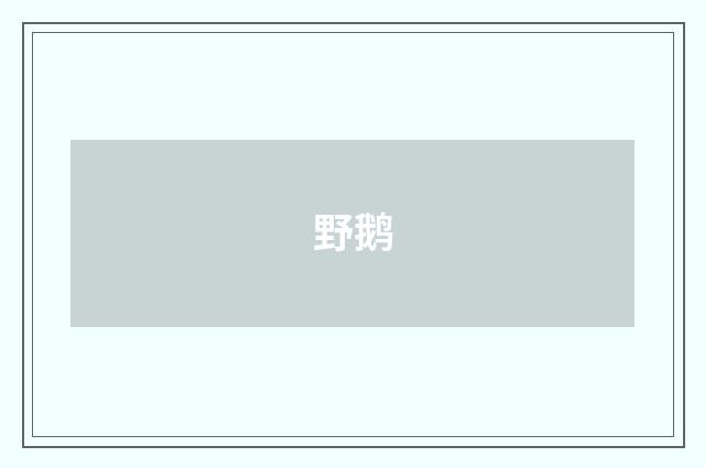 野鹅