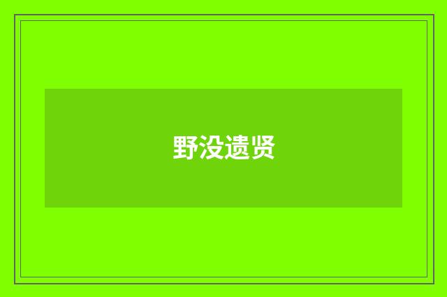 野没遗贤