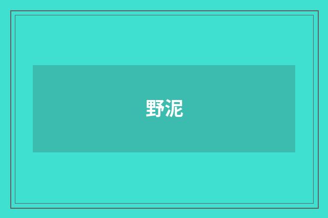 野泥