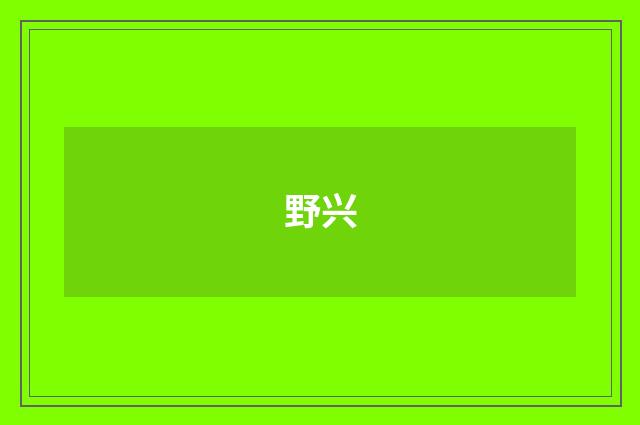 野兴