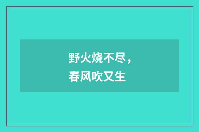 野火烧不尽，春风吹又生