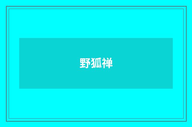 野狐禅