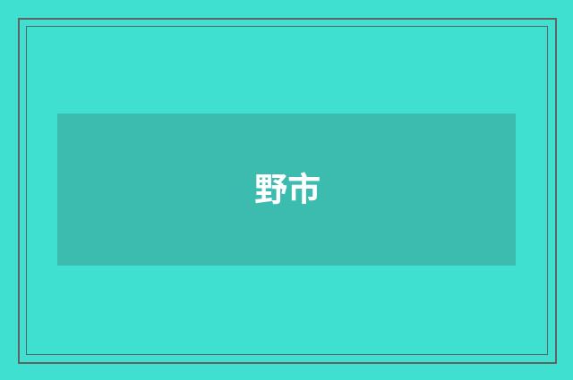 野市