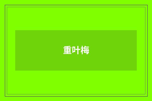 重叶梅