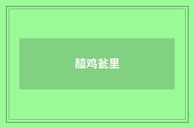 醯鸡瓮里