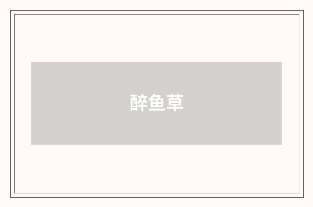 醉鱼草