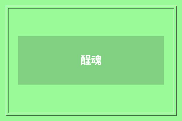酲魂