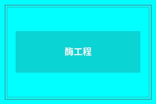 酶工程