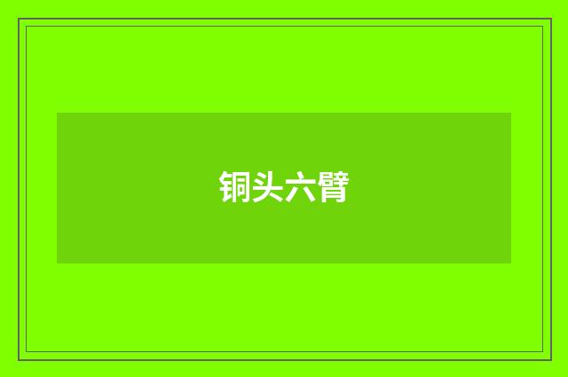 铜头六臂