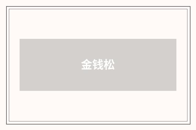 金钱松