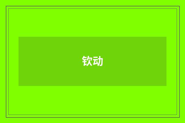 钦动