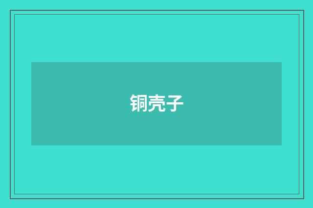铜壳子