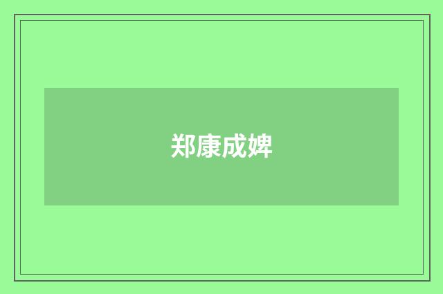 郑康成婢