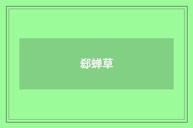 郄蝉草
