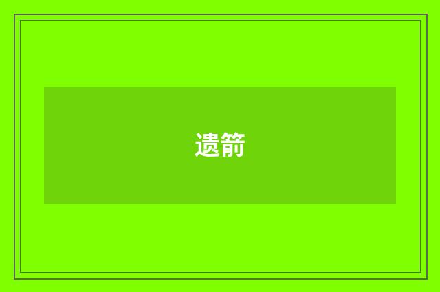 遗箭