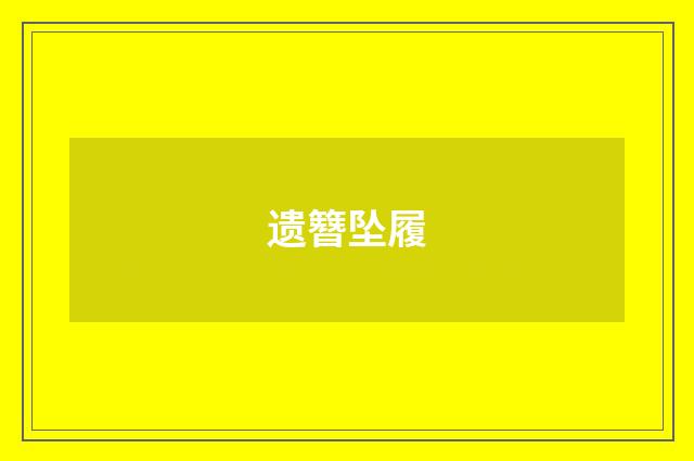 遗簪坠履