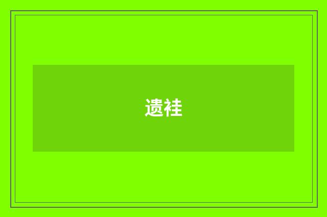 遗袿