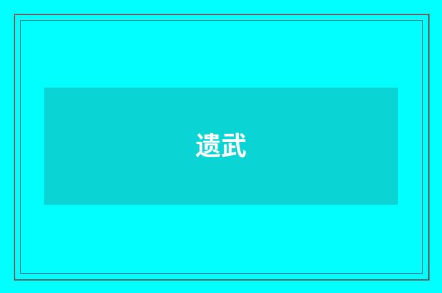 遗武