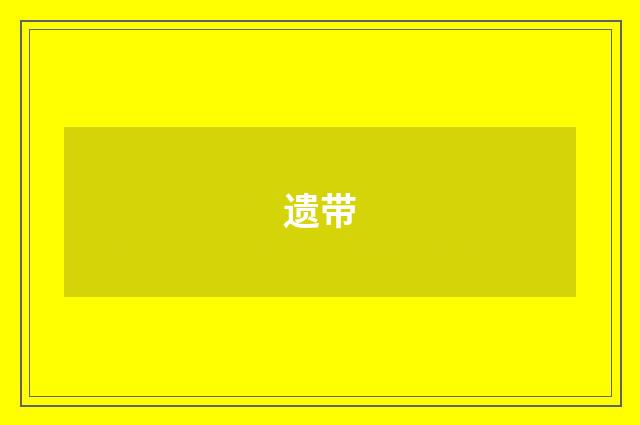 遗带