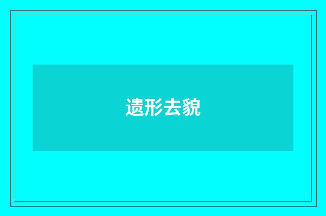 遗形去貌