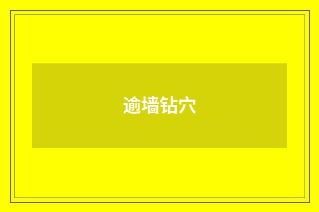 逾墙钻穴