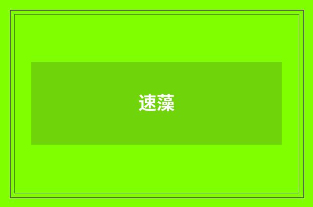 速藻