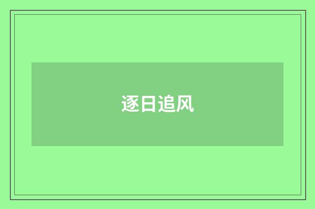 逐日追风