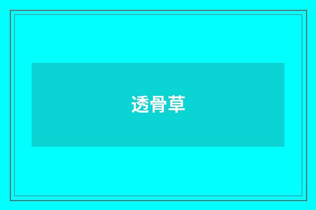 透骨草