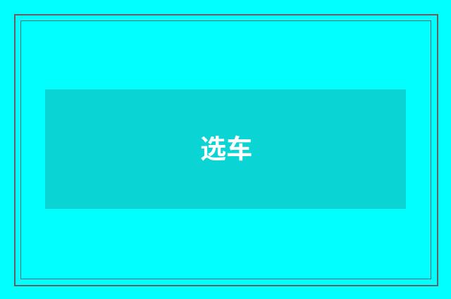 选车