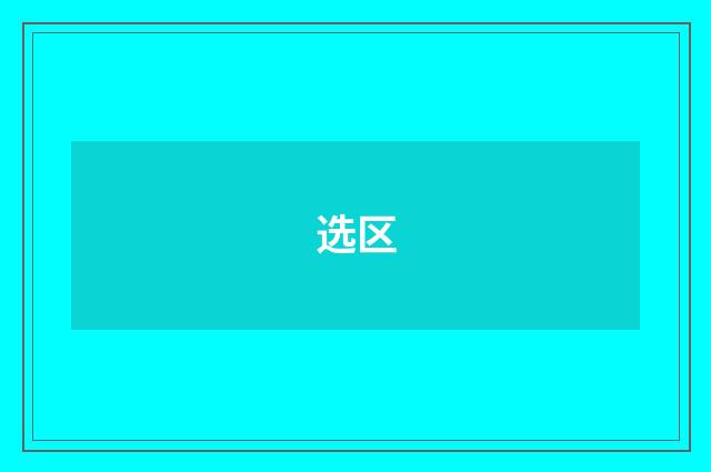 选区