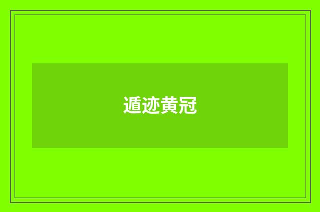 遁迹黄冠