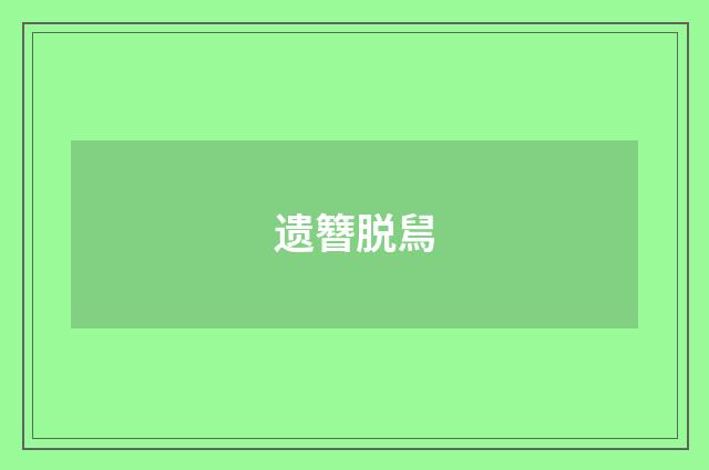 遗簪脱舃