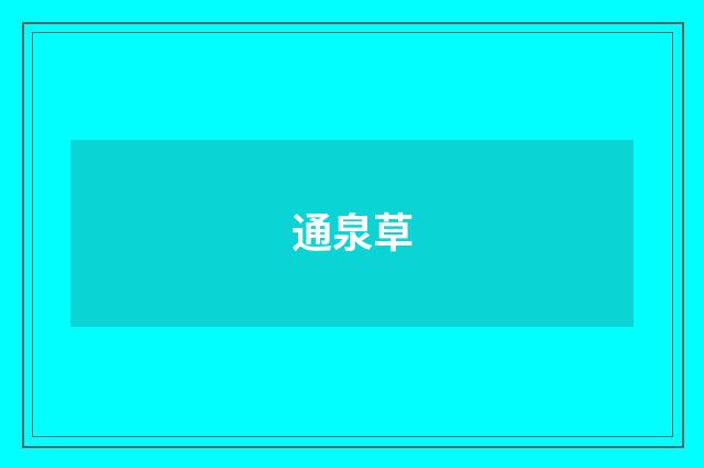 通泉草