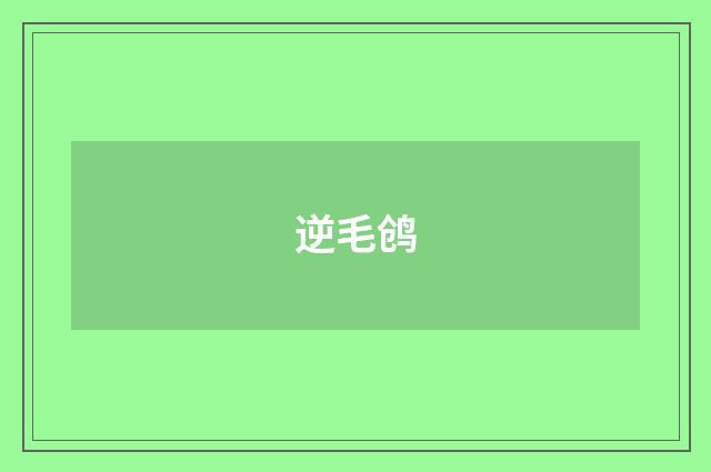 逆毛鸧