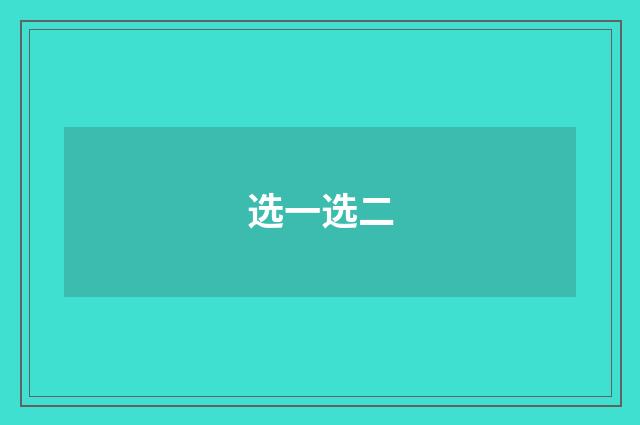 选一选二