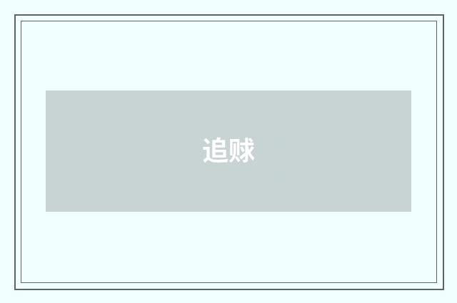追赇