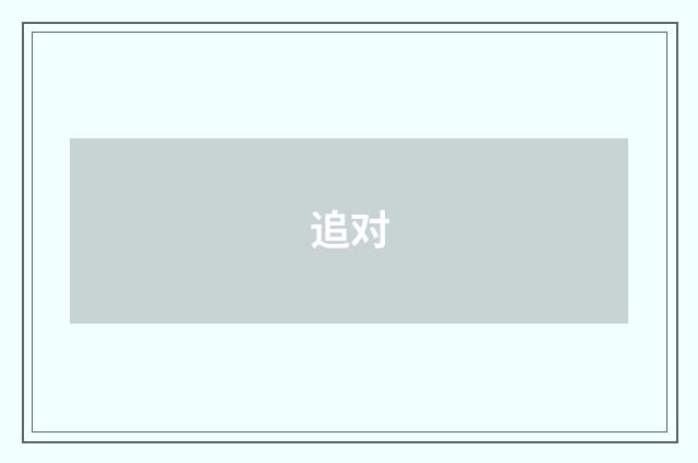 追对