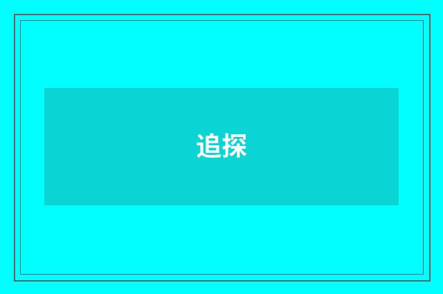 追探