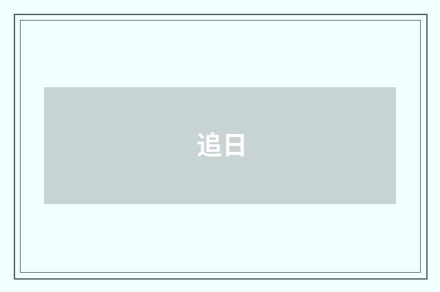 追日