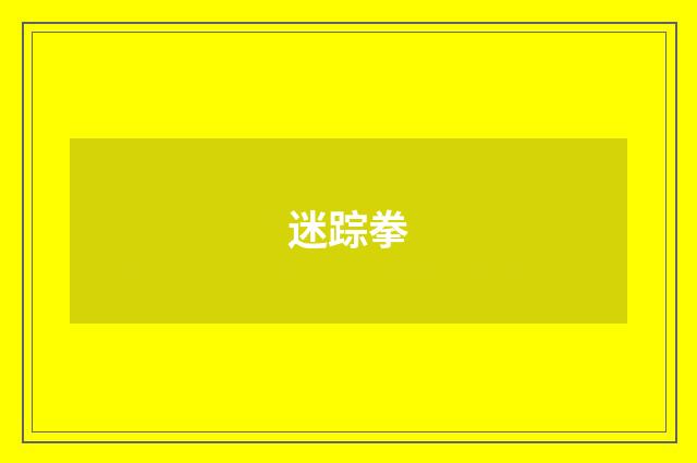 迷踪拳
