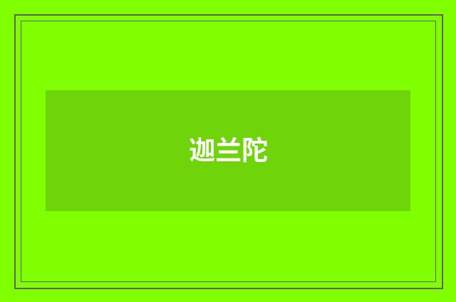迦兰陀