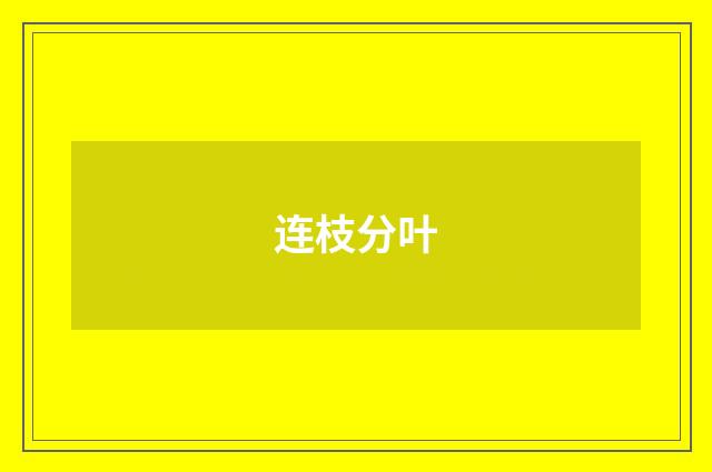 连枝分叶