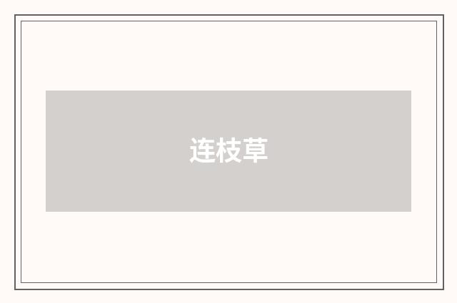 连枝草