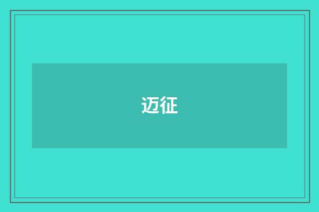 迈征