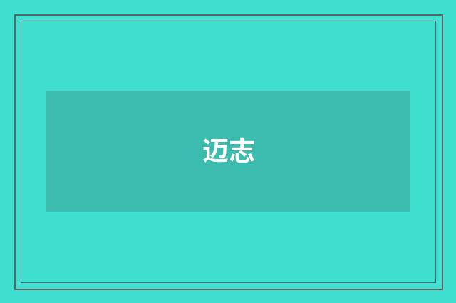 迈志